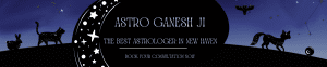 Best Astrologer in New Haven