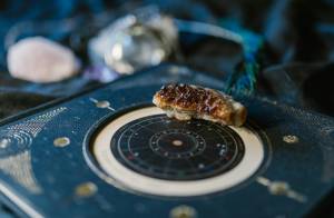 Best Astrologer in Oakland