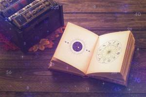 Best Astrologer in Gainesville