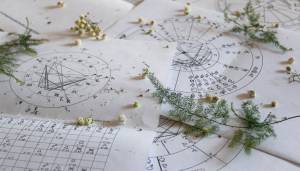 Best Astrologer in Frisco